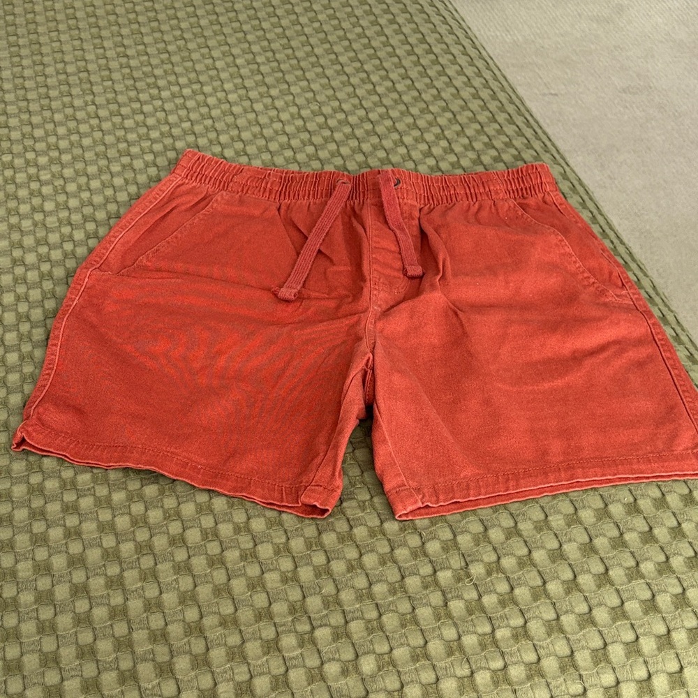 Jachs Men's Rust Shorts